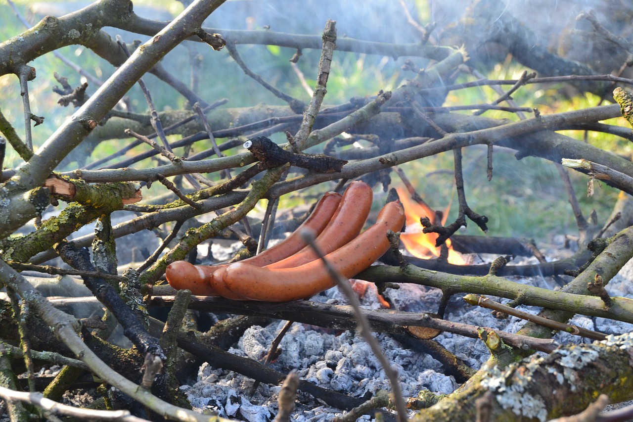 barbecue sausage wood free photo