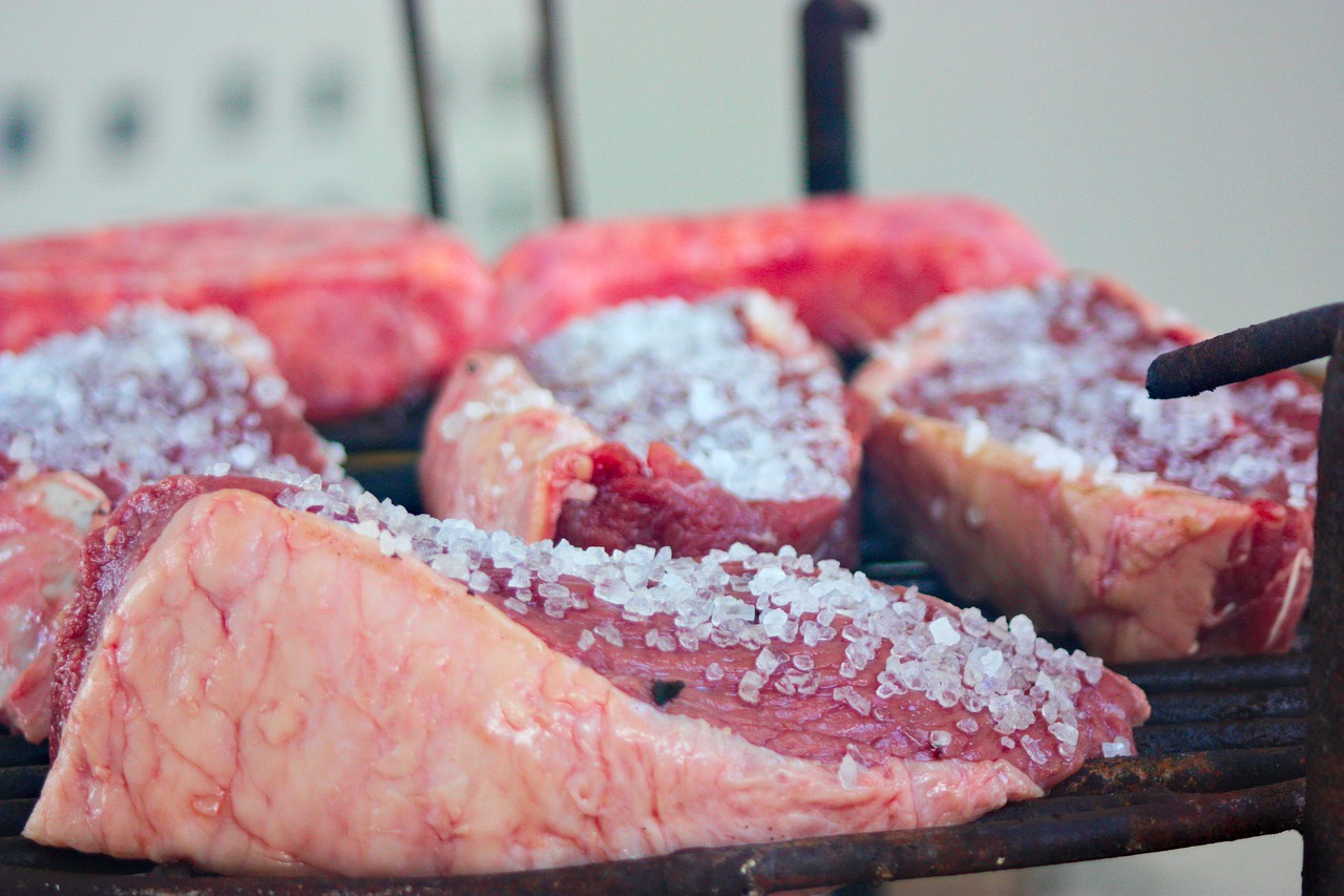barbecue  fillet steak  grid free photo