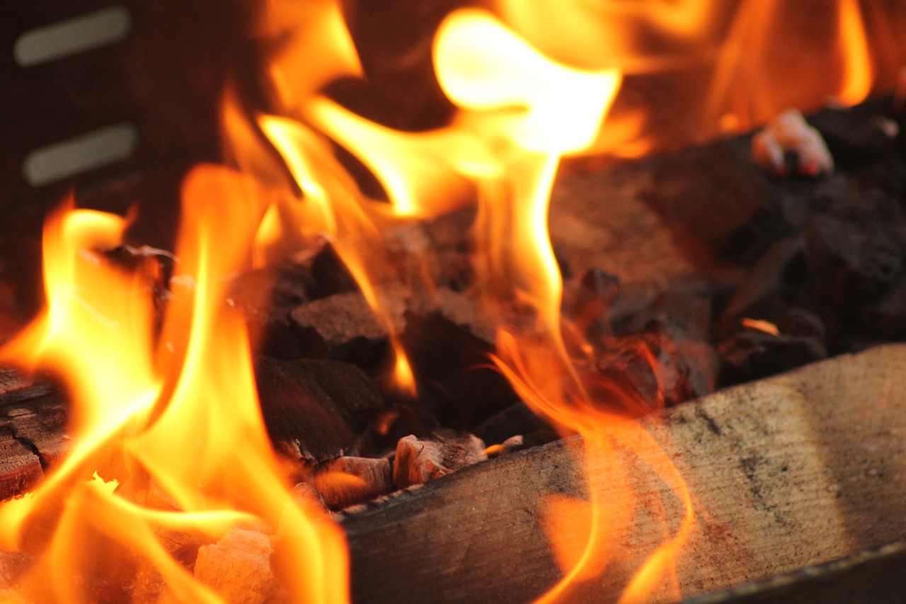 barbecue  fire  wood free photo