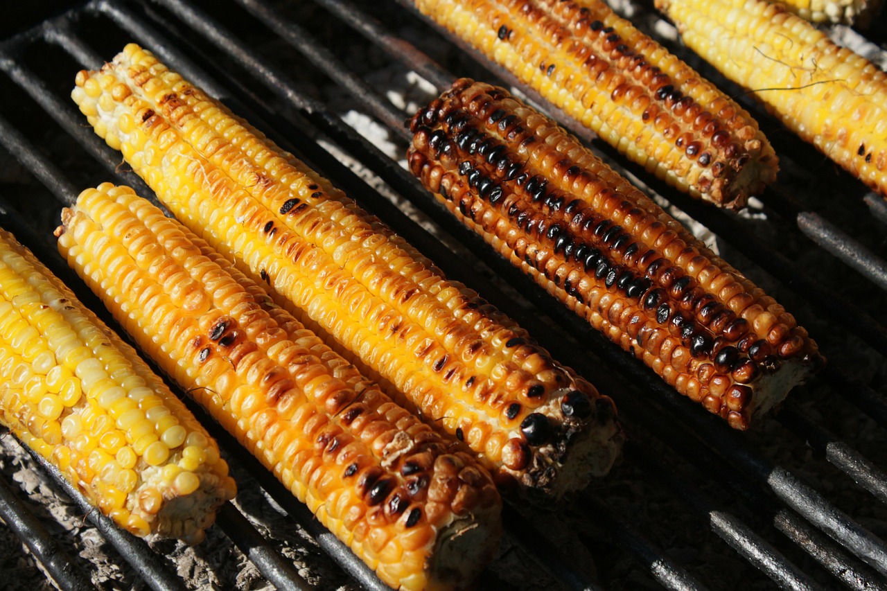 barbecue corn fresh free photo