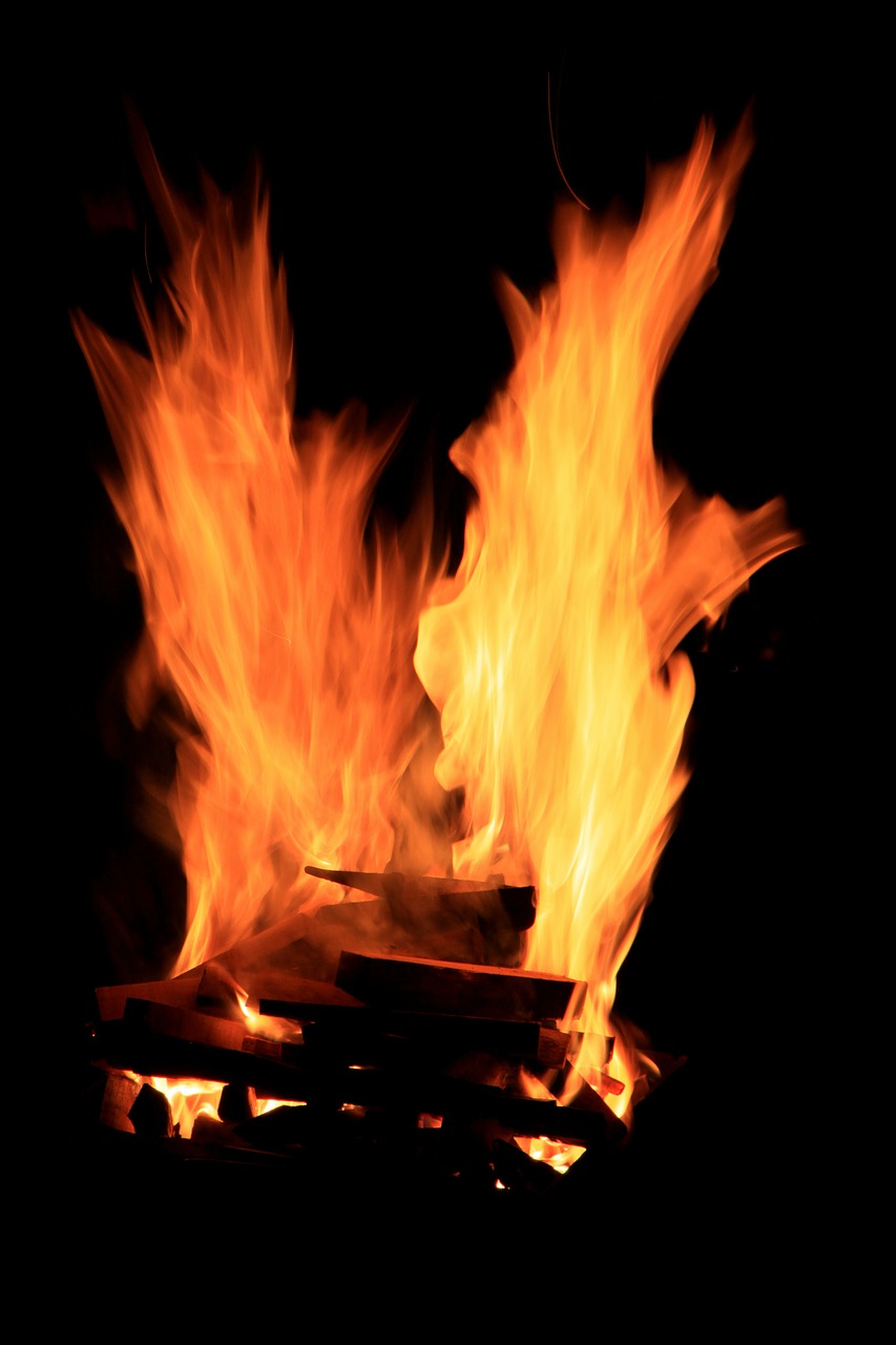 barbecue bbq fire free photo