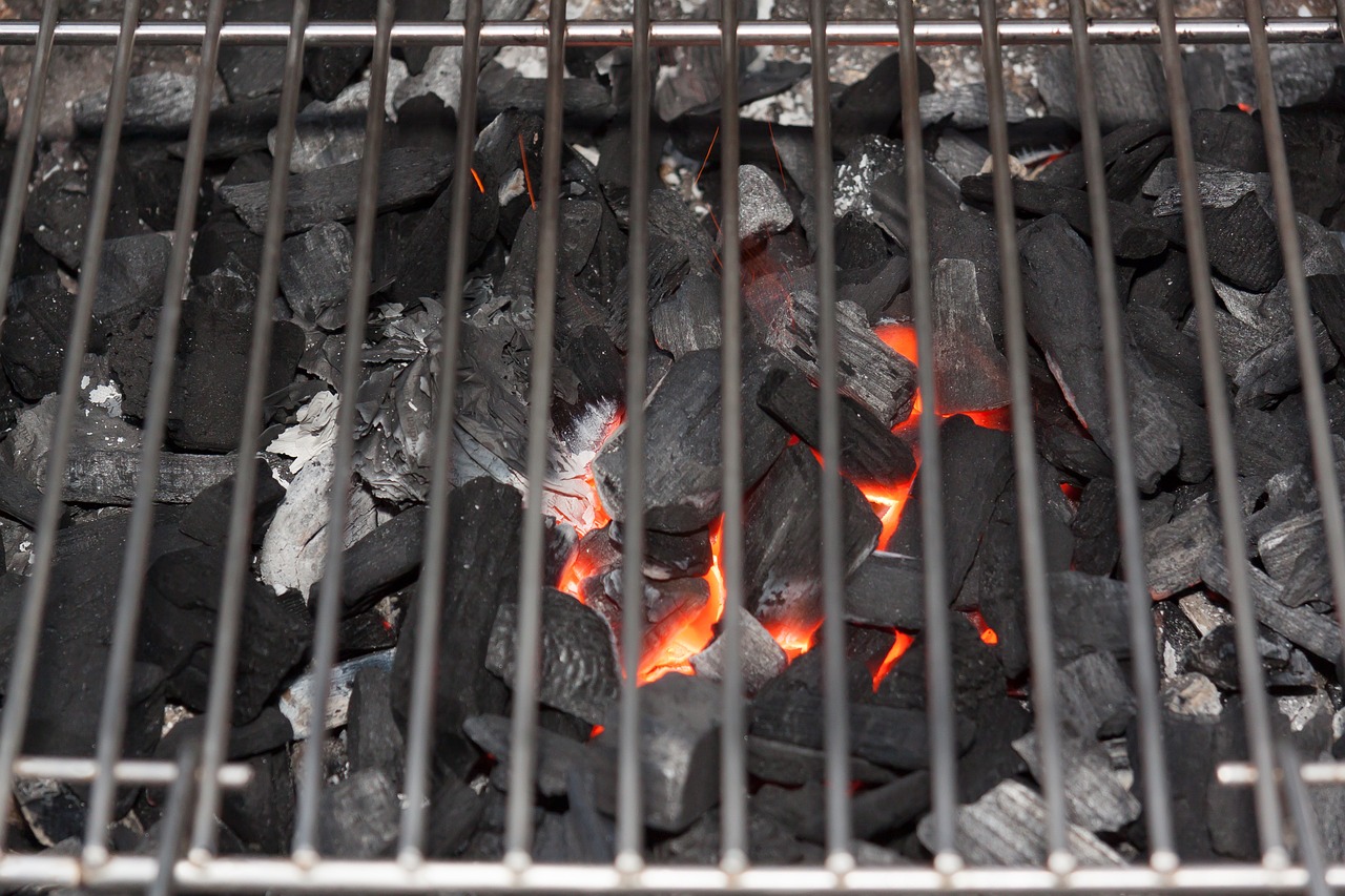 barbecue charcoal glow free photo
