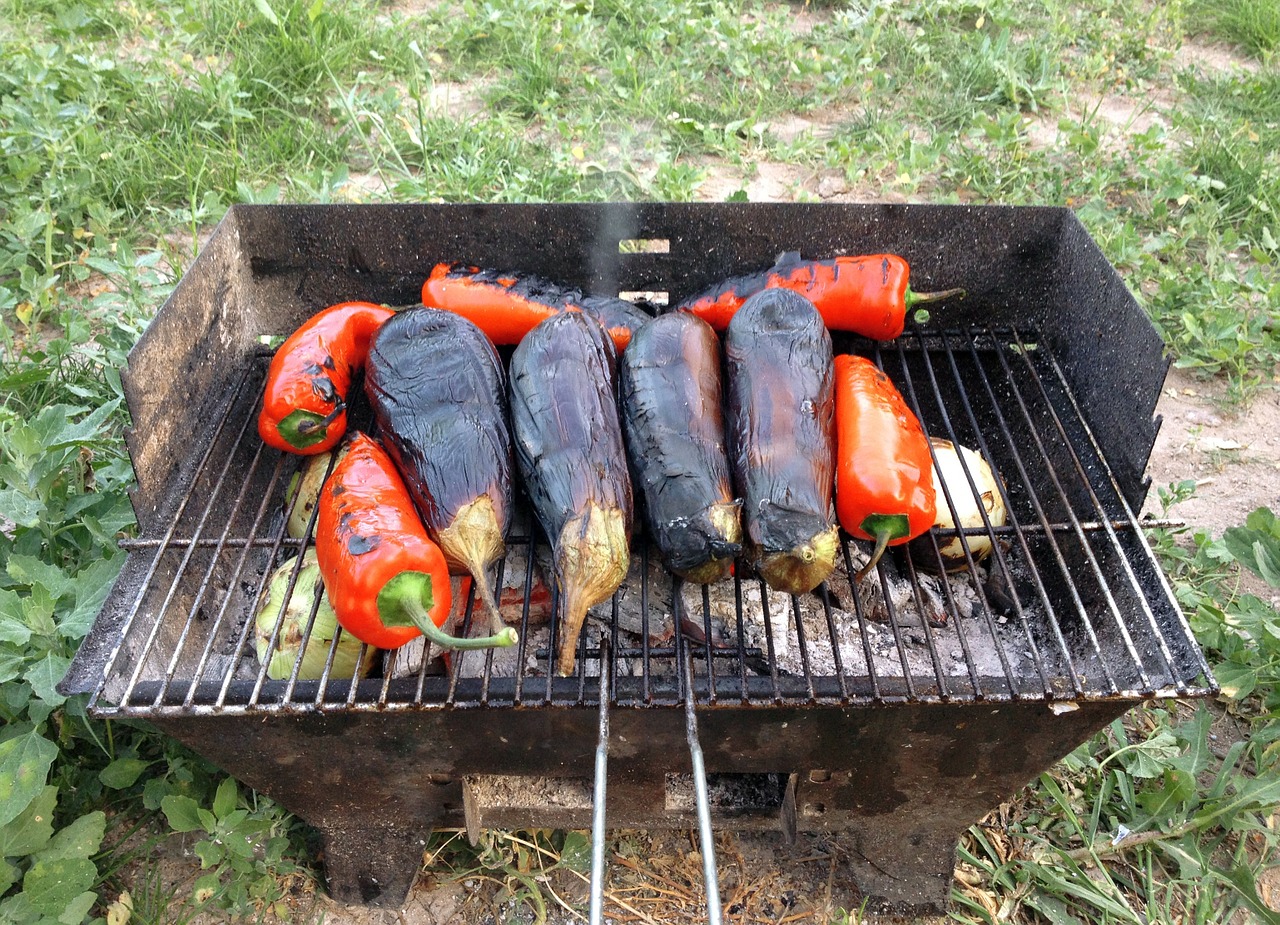 barbecue pepper eggplant free photo