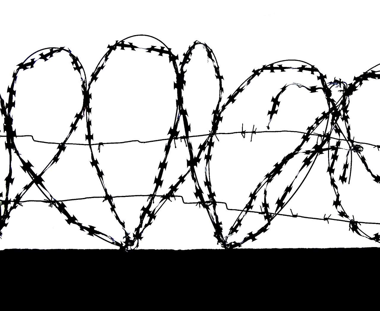 barbed wire hearts free photo