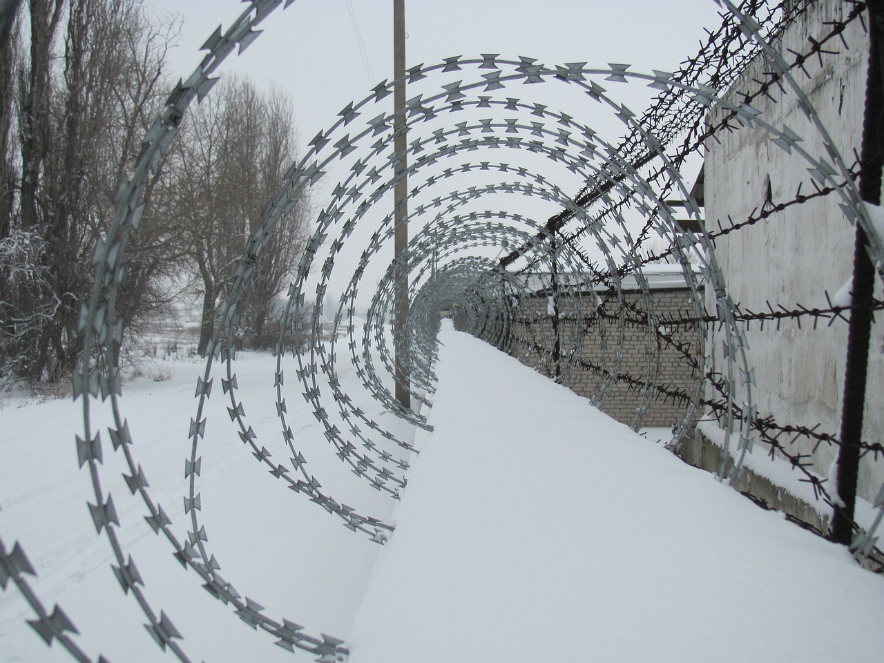 barbed wire winter free photo