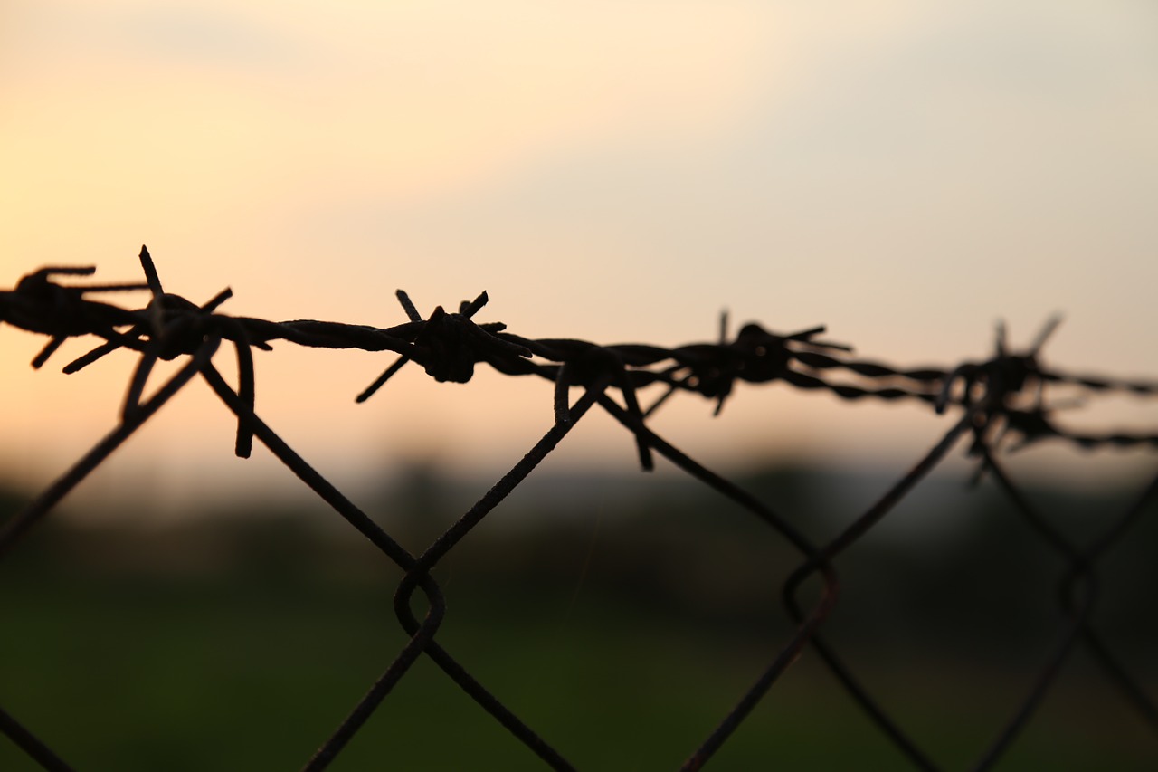 barbed wire sunset wire free photo