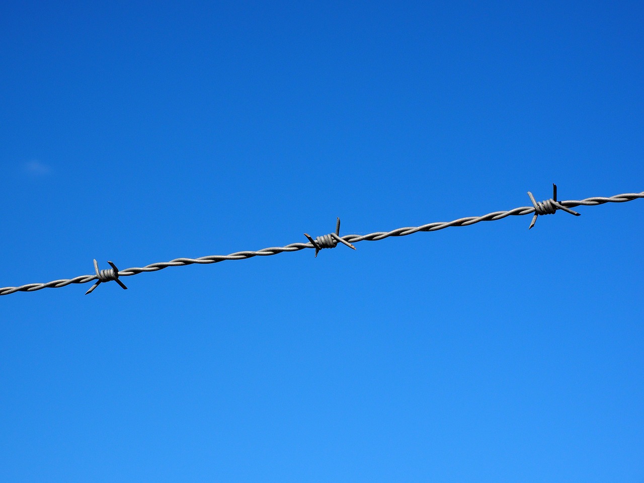 barbed wire wire fenced free photo