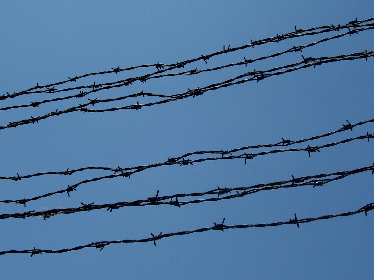 barbed wire bondage prison free photo