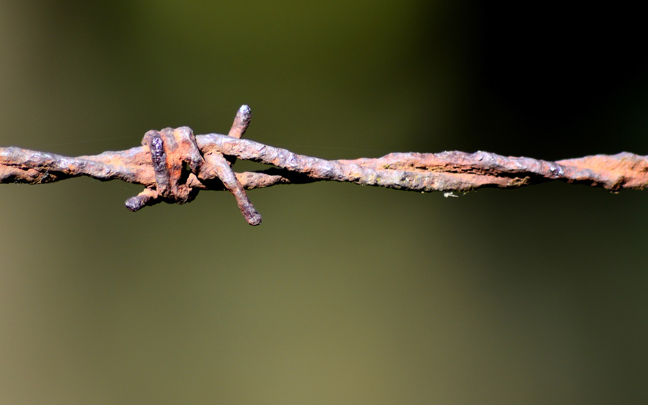 barbed wire node rust free photo