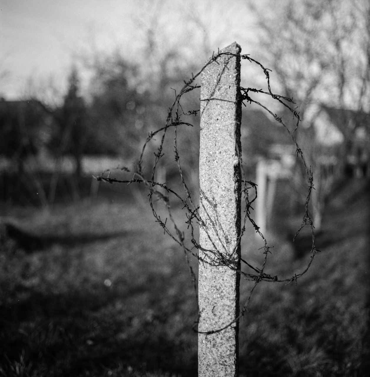 barbed wire concrete black and white free photo