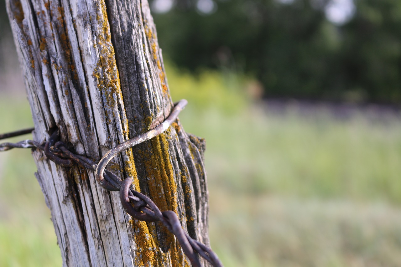 barbed wire fence post free photo