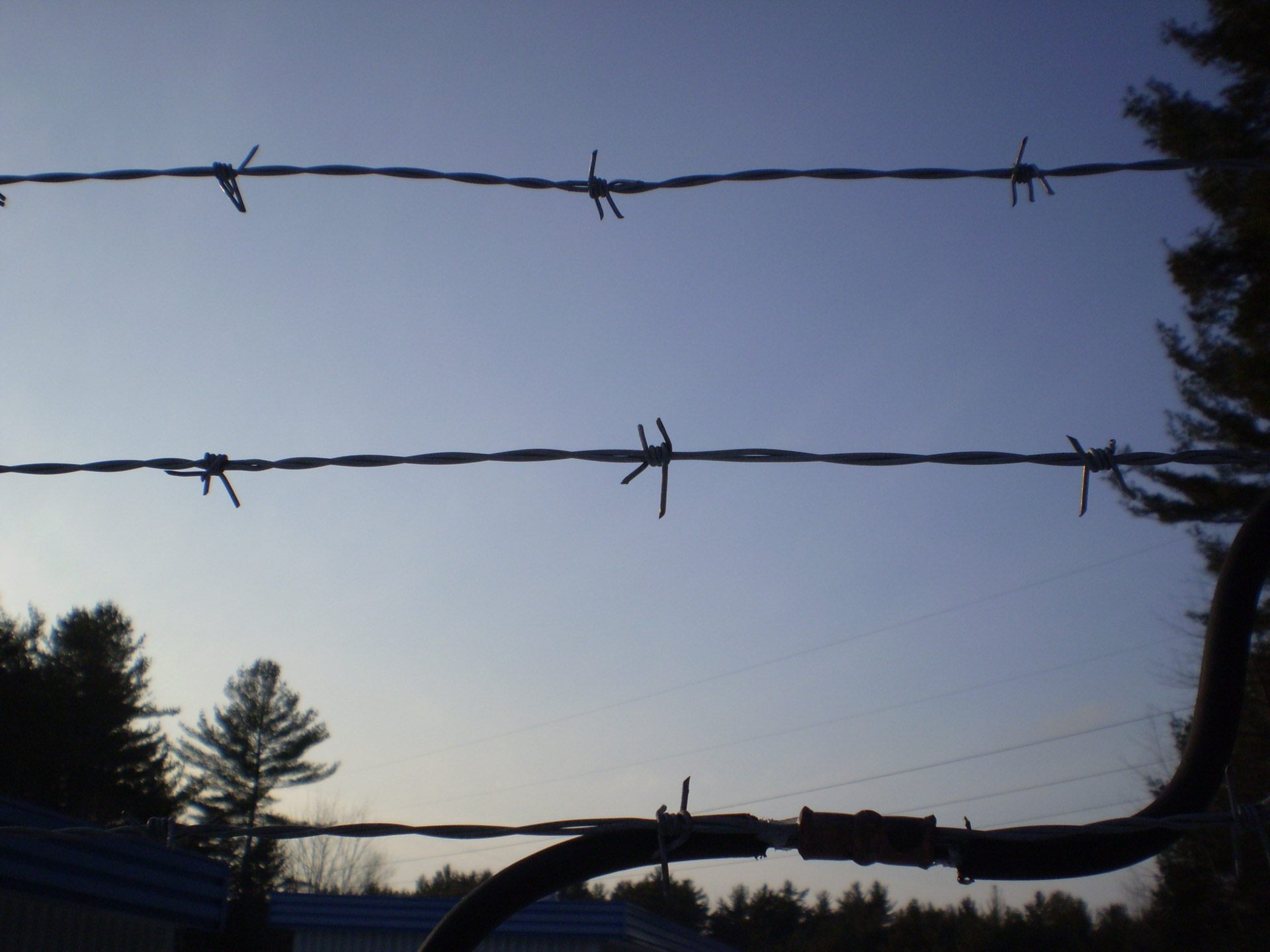 barbed wire dusk free photo