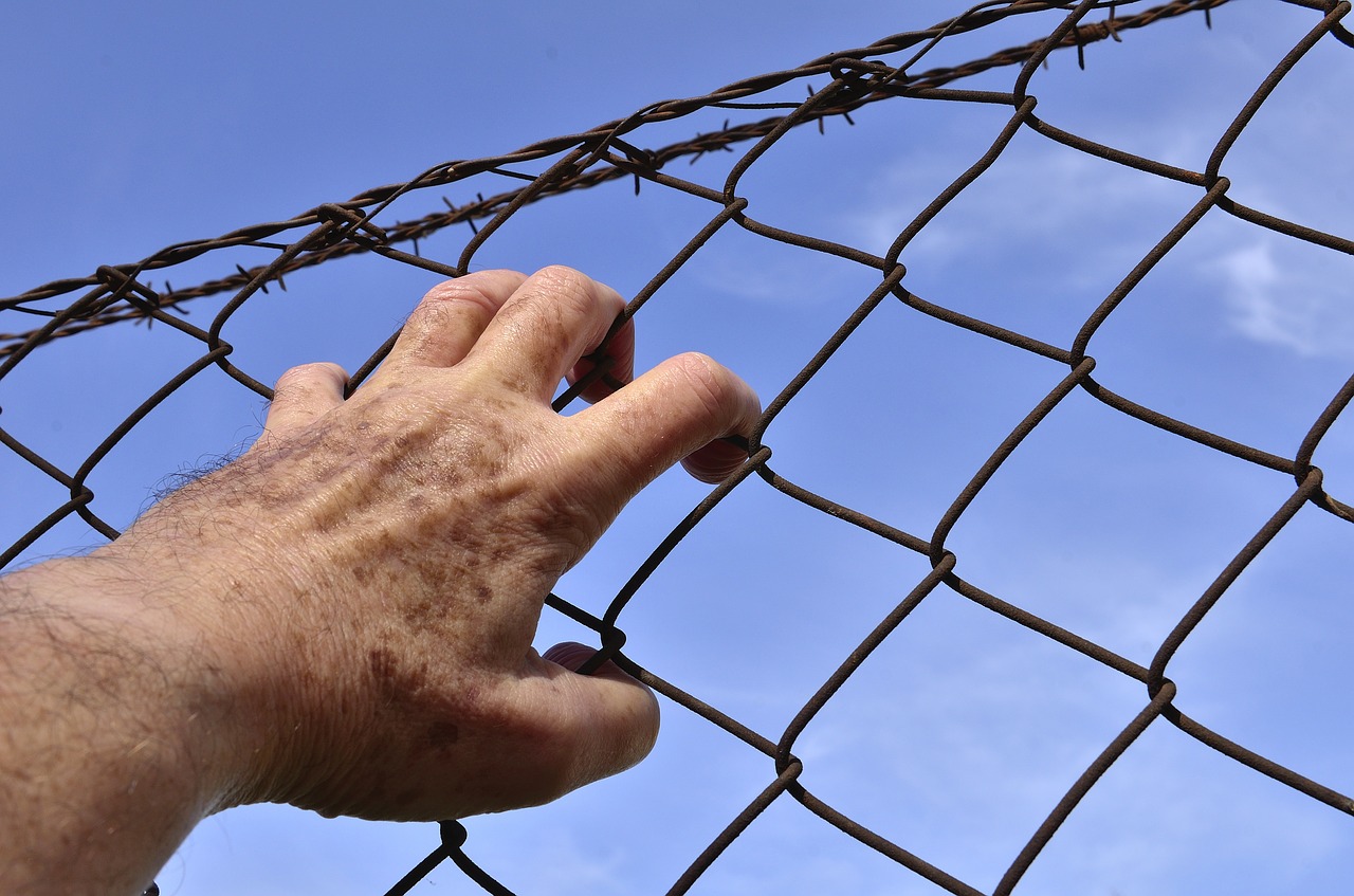 barbed wire wire court free photo