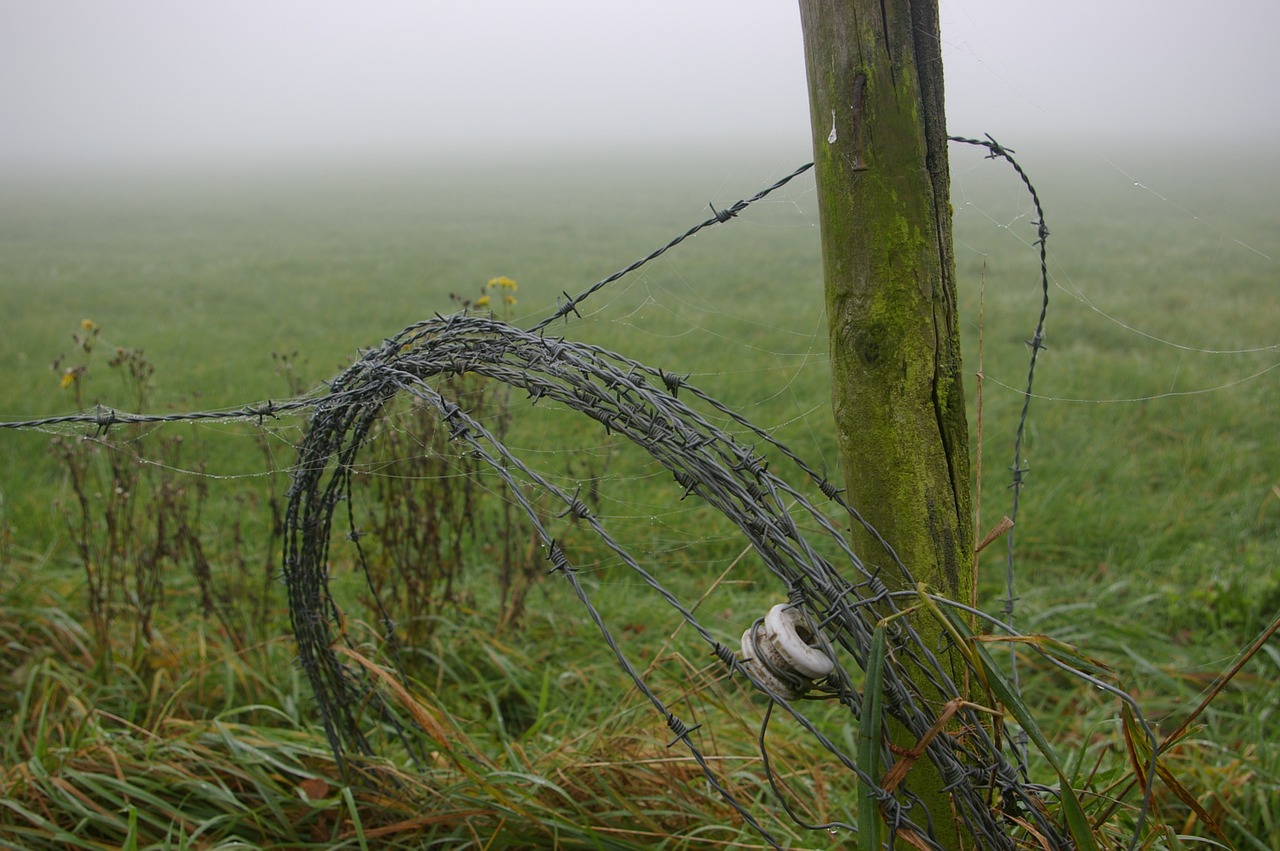 barbed wire pole rot free photo