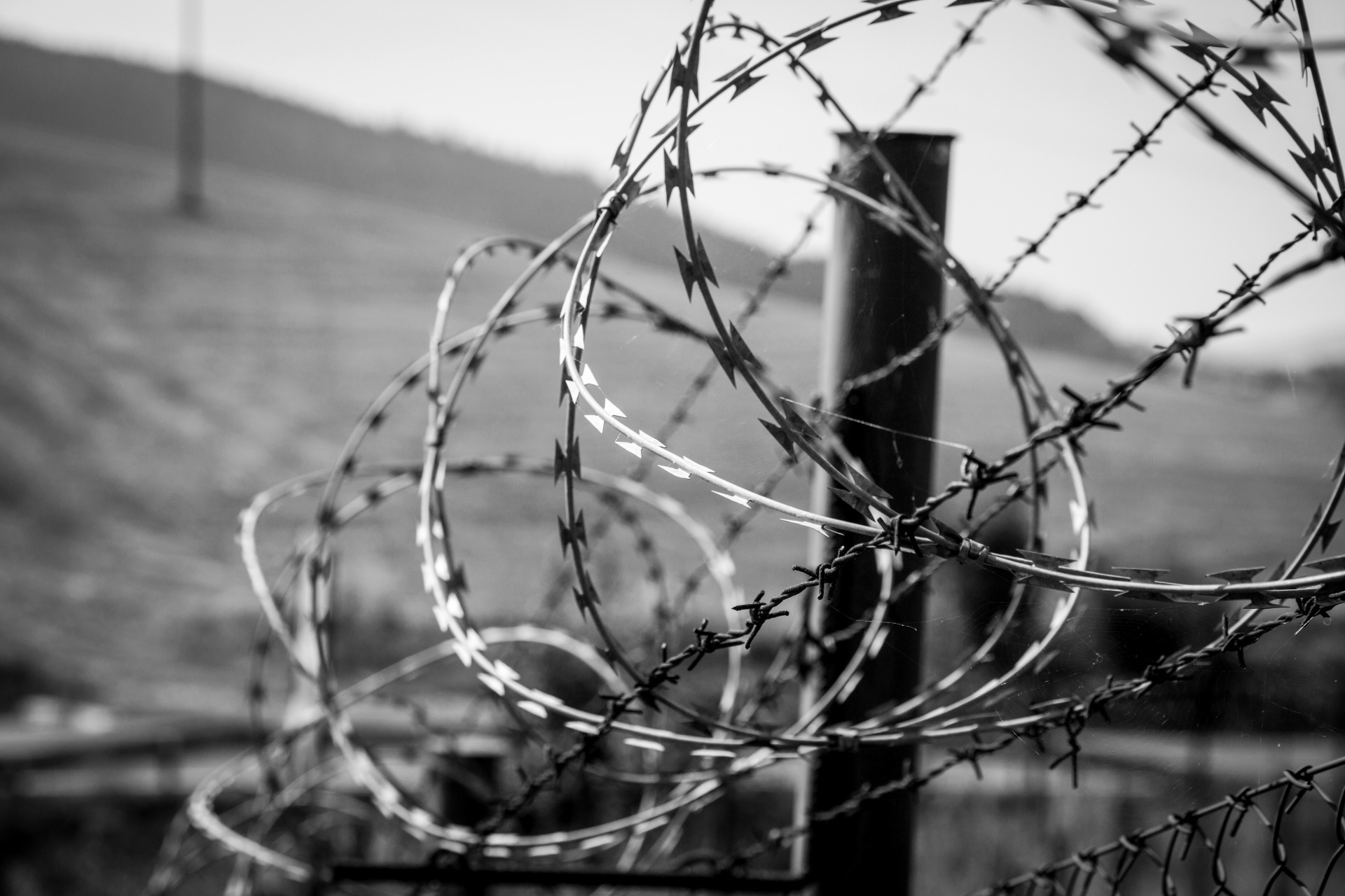 barb barbed wire free photo