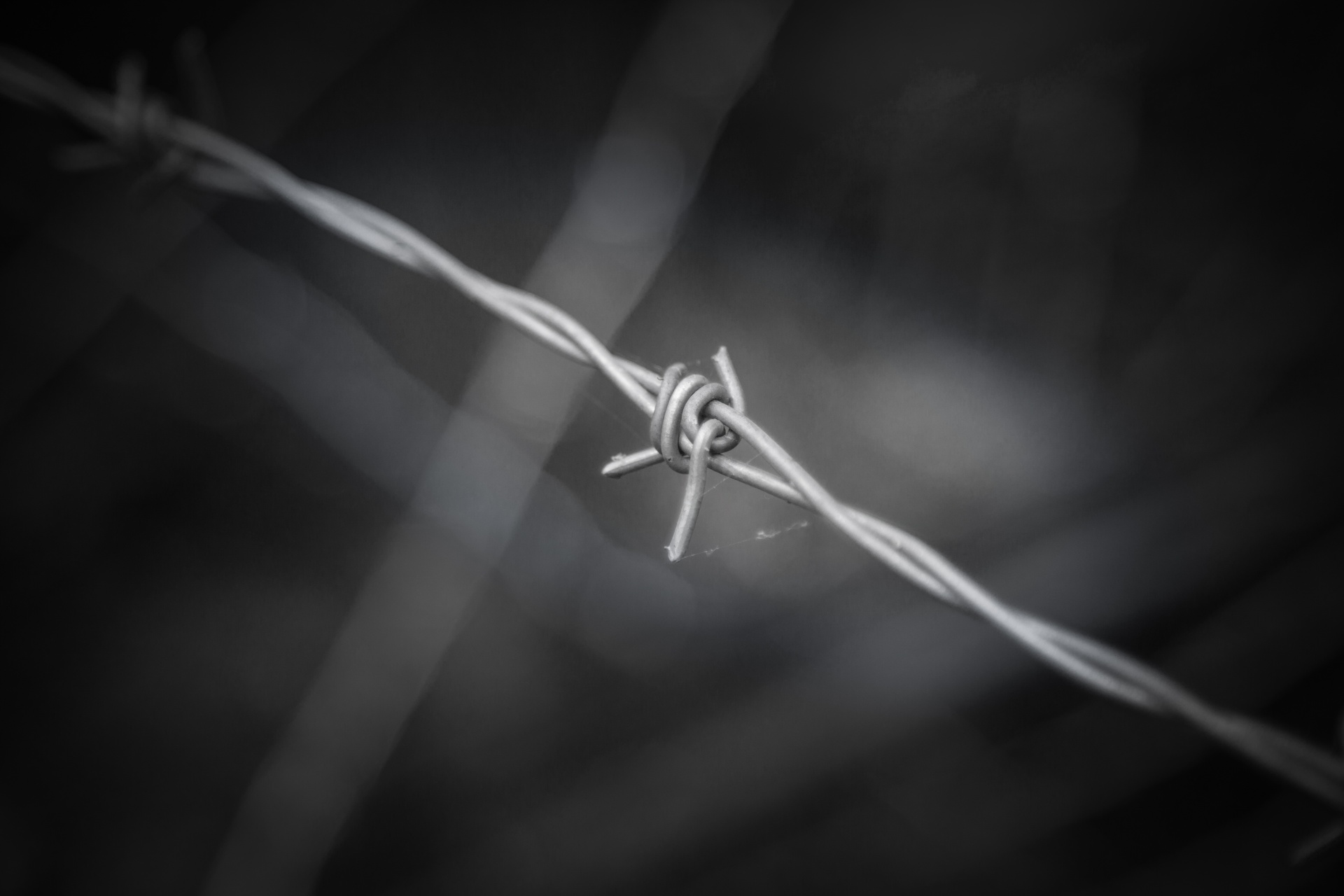 barb barbed wire free photo