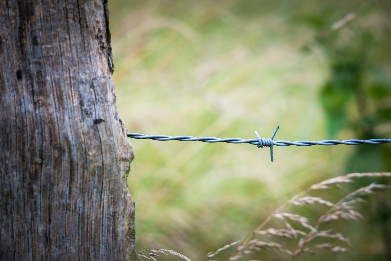 barbed wire fence pile free photo