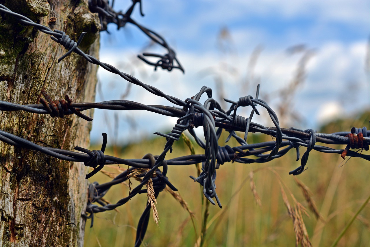 barbed wire fence post wood pile free photo