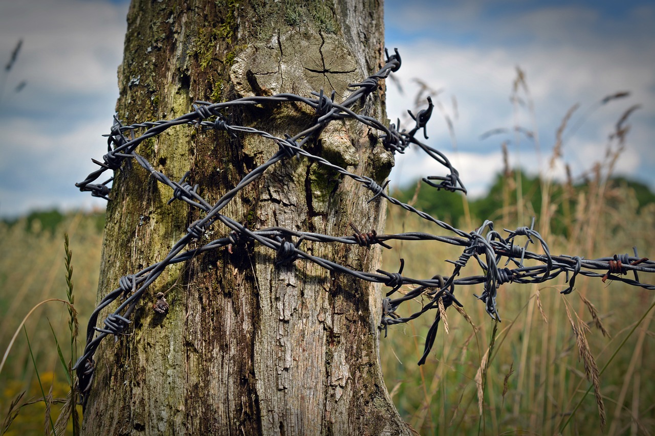 barbed wire fence post wood pile free photo