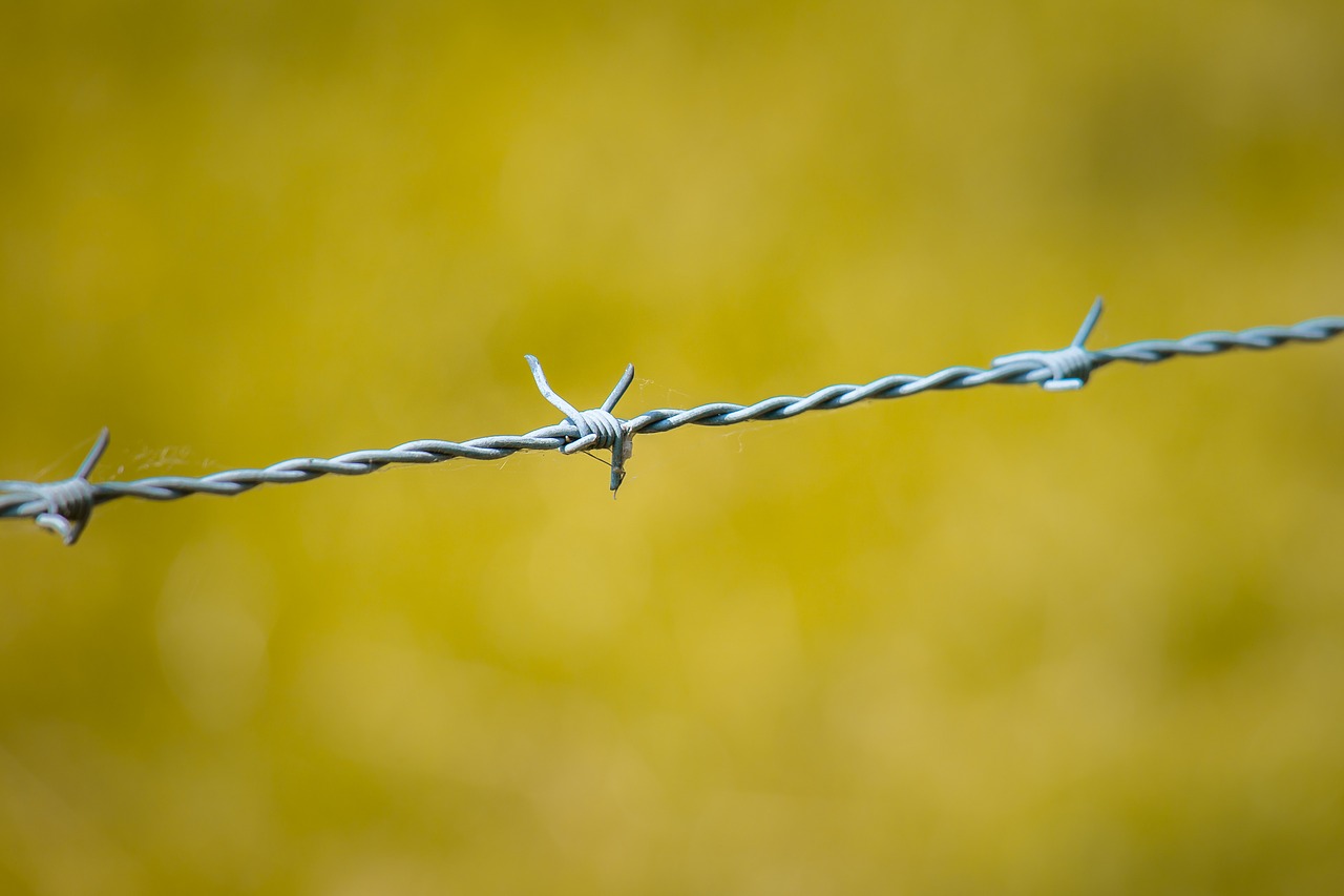 barbed wire fence wire free photo