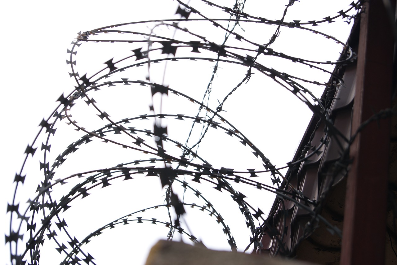 barbed wire military wire prison free photo