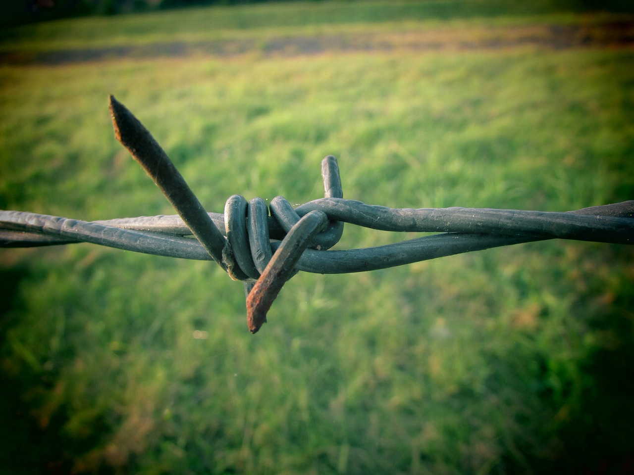 barbed wire stainless demarcation free photo