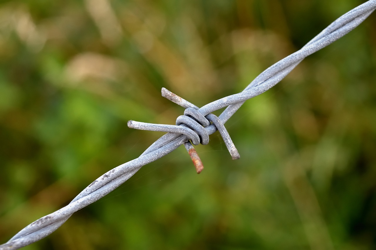 barbed wire rust node free photo