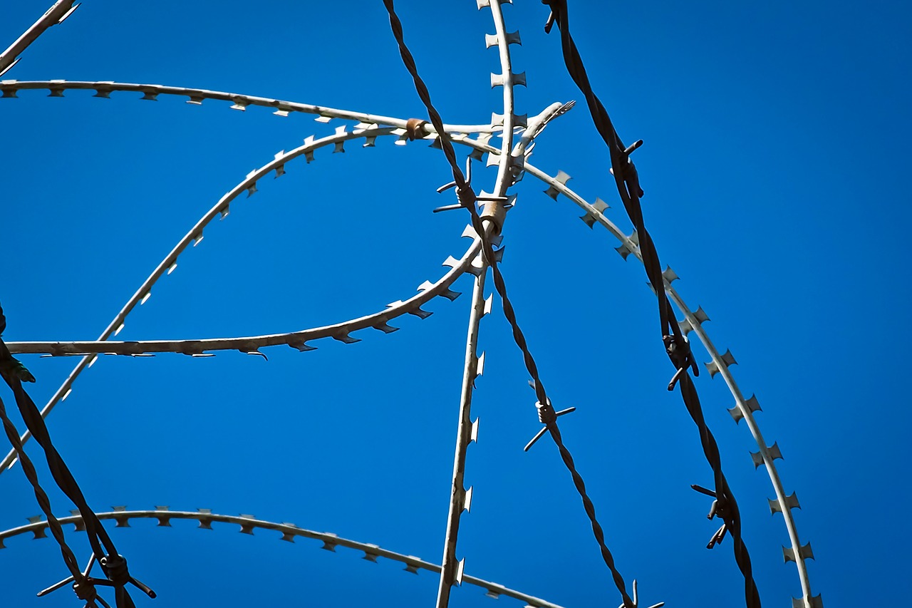 barbed wire fence metal free photo