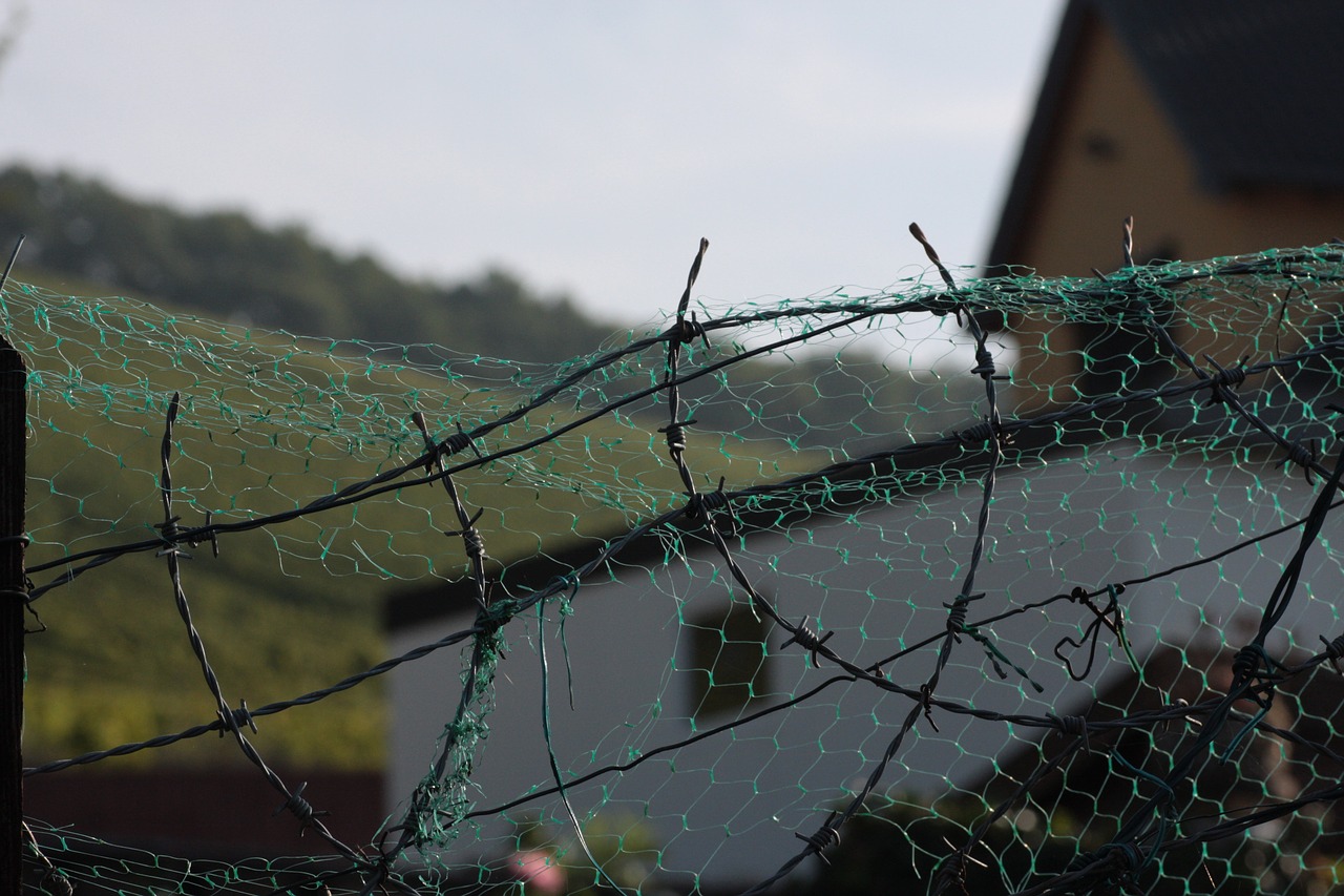 barbed wire fence wire free photo
