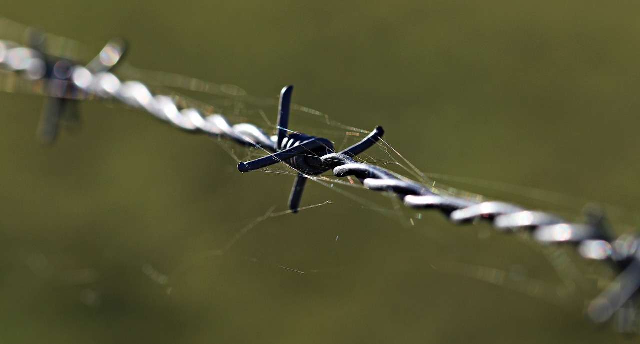 barbed wire fencing caution free photo