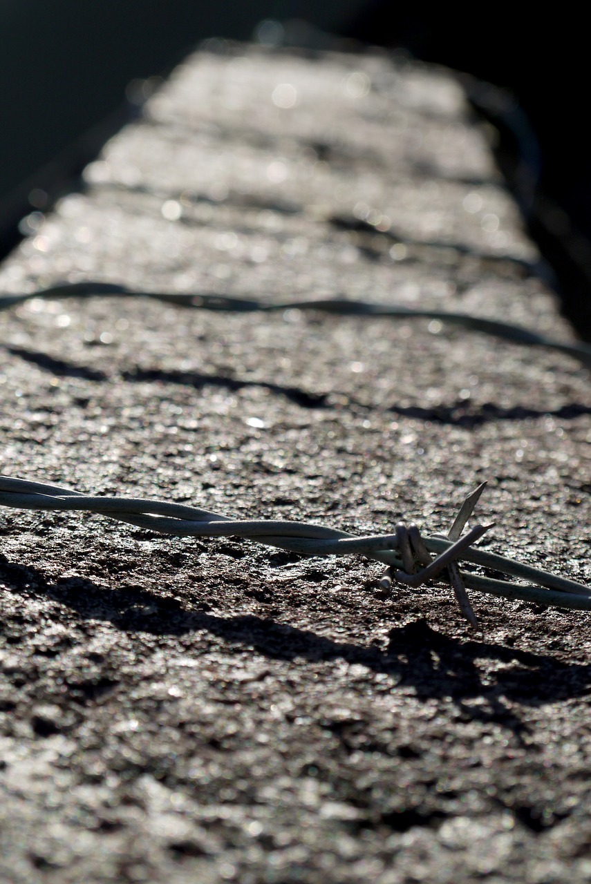 barbed wire wall wire free photo