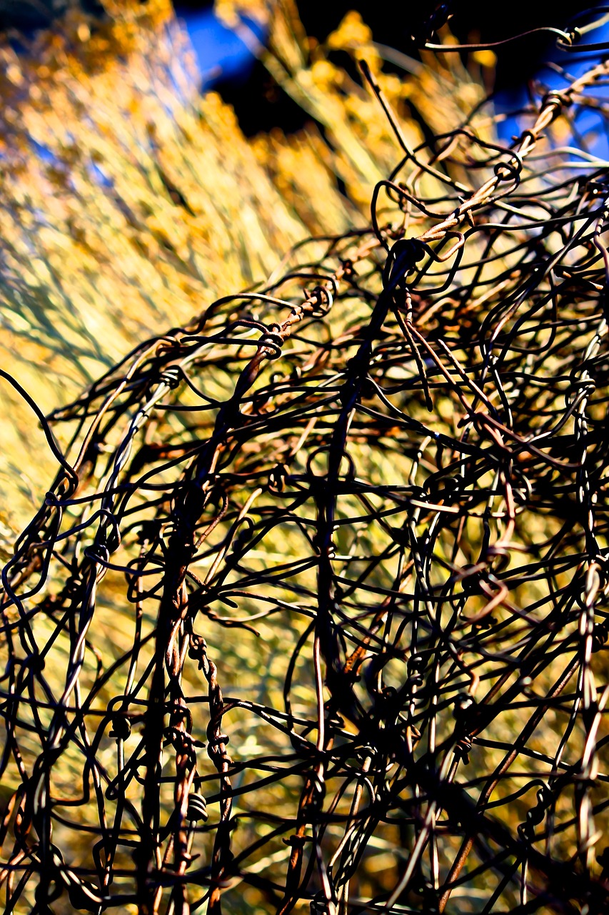 barbed wire farm san luis valley free photo