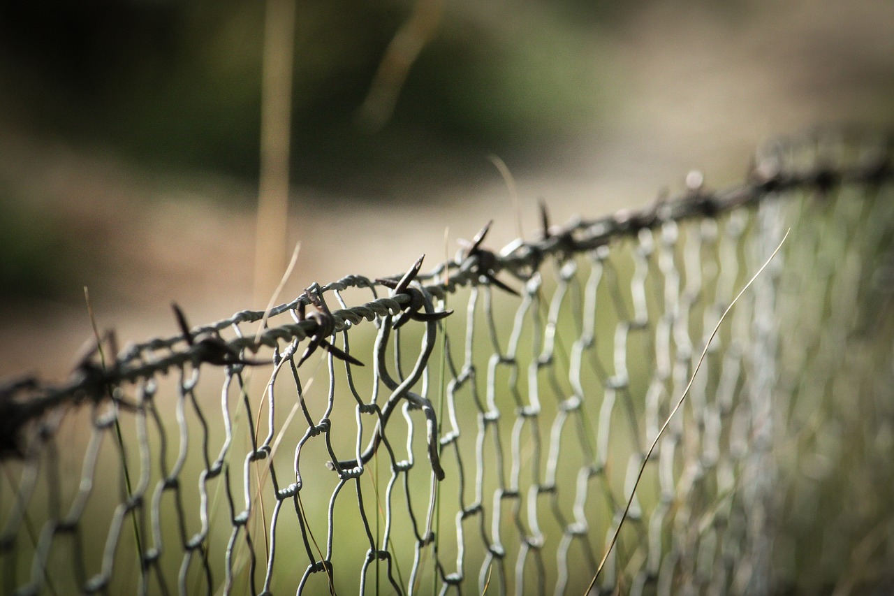 barbed wire fence wire mesh free photo