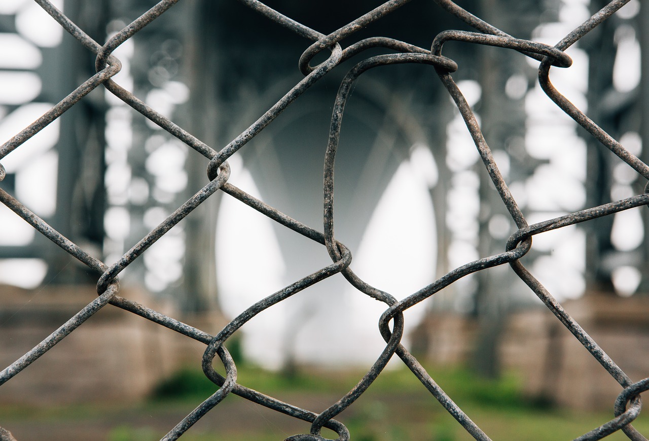 barbed wire barrier blur free photo