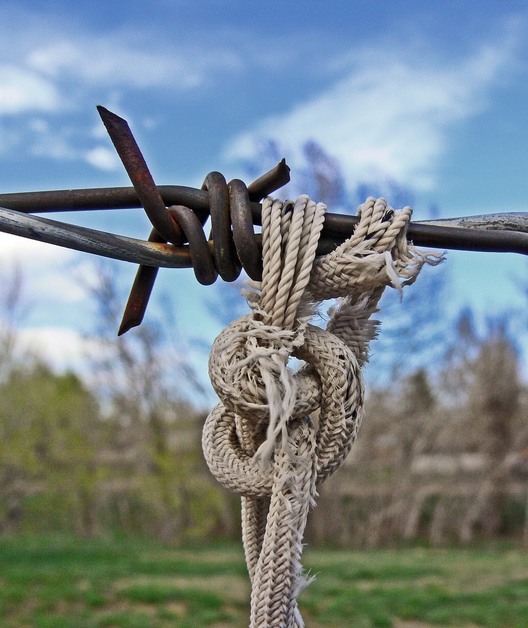 barbed wire fence pain free photo