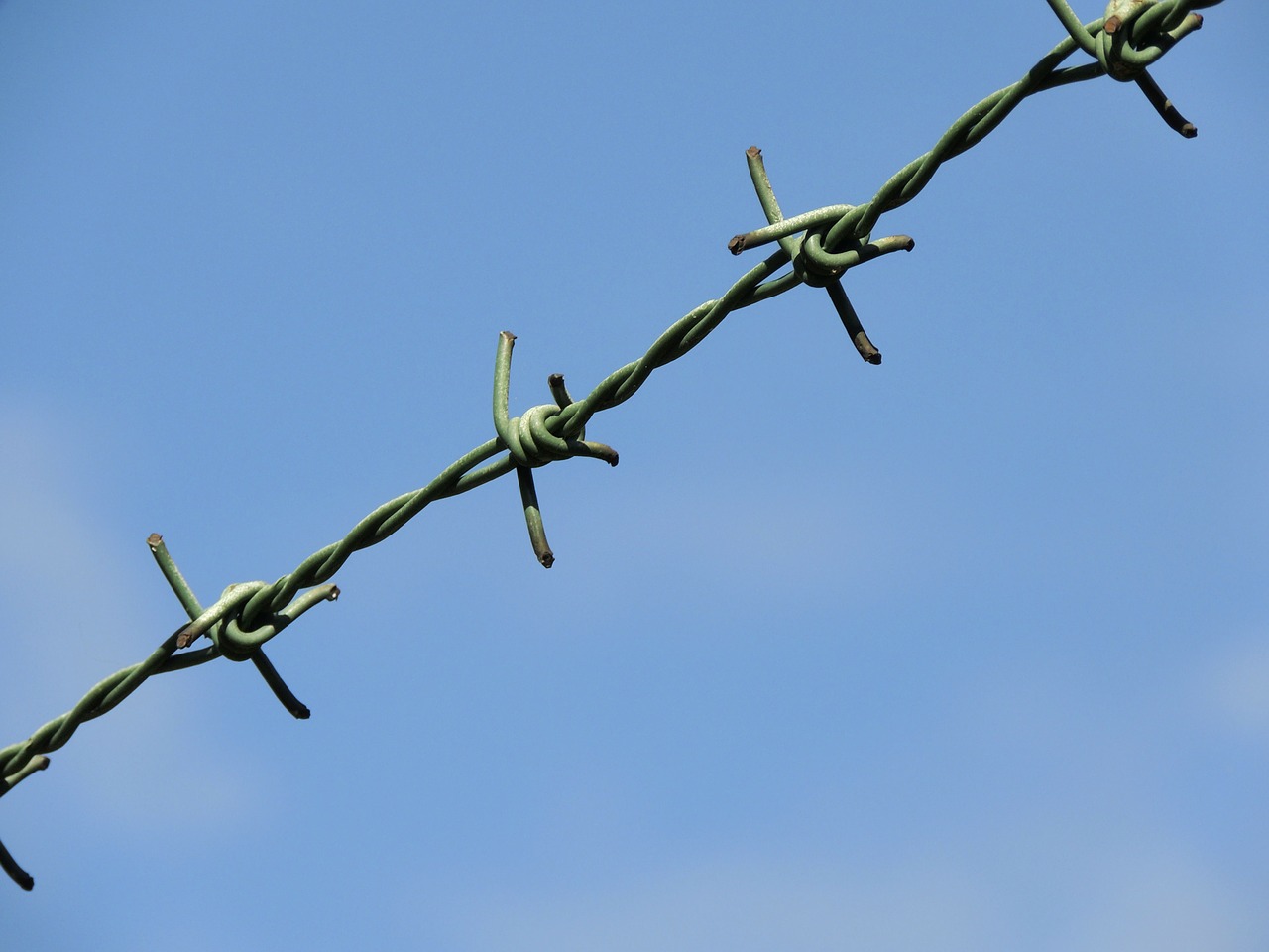 barbed wire sky imprisoned free photo