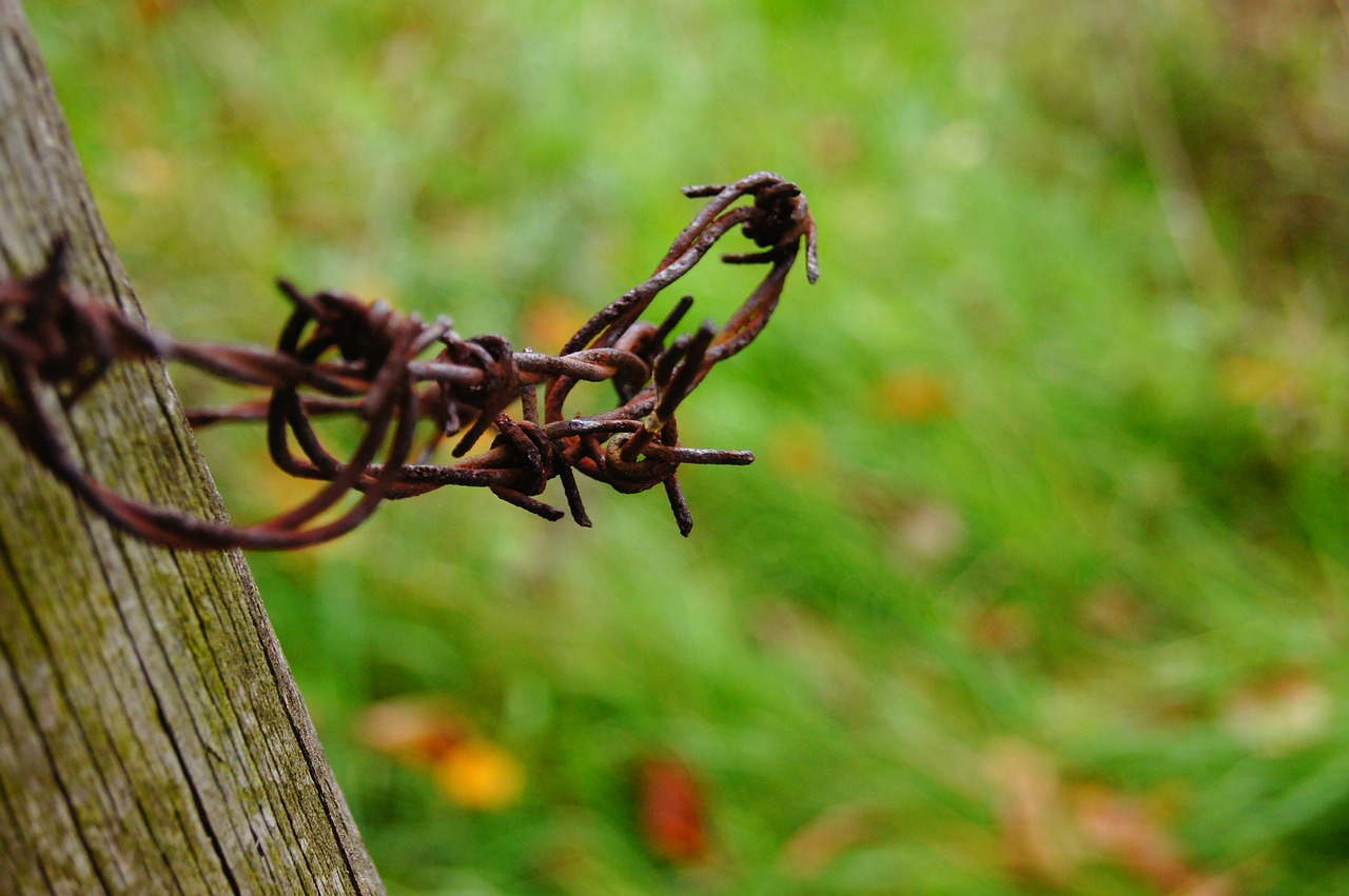 barbed wire verrostst fence free photo