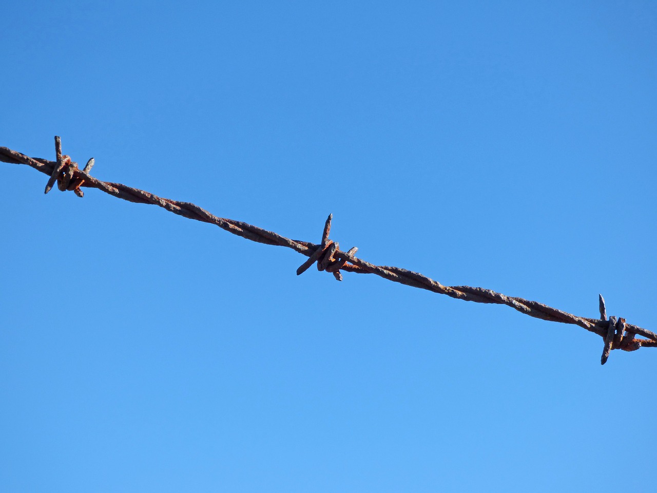 barbed wire fence not pass free photo