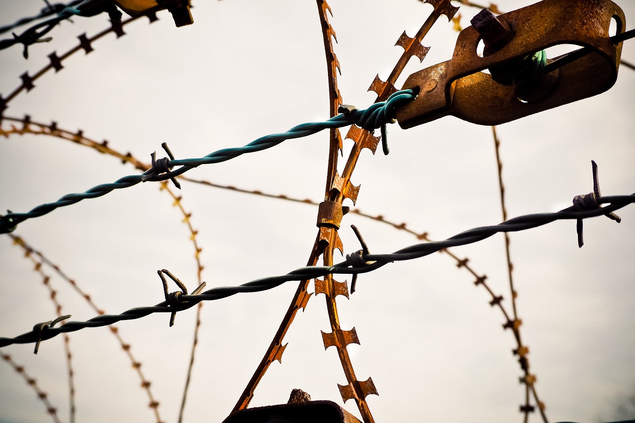 barbed wire natodraht secure free photo
