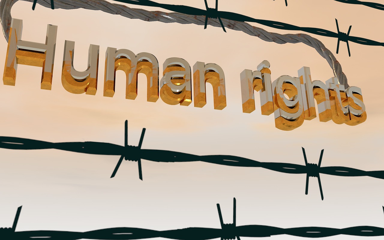 barbed wire human rights equality free photo