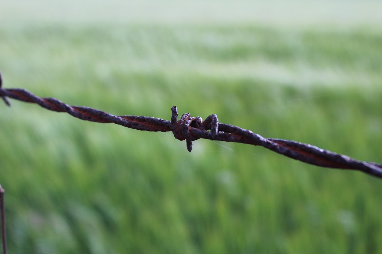 barbed wire meadow prison free photo