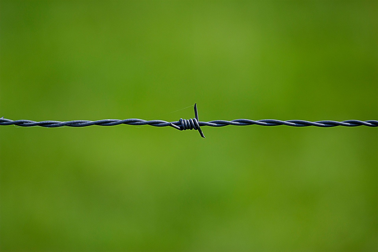 barbed wire wire security free photo