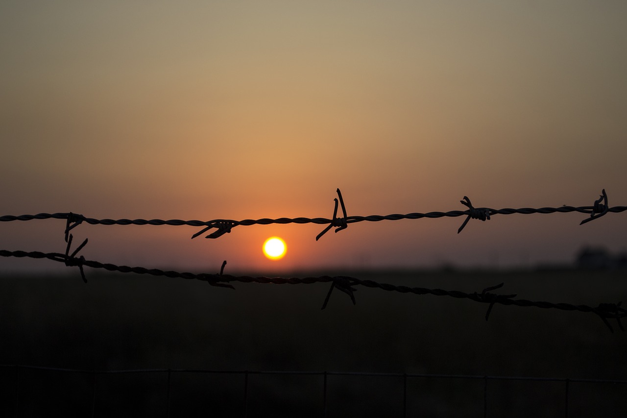 barbed wire sunset black free photo