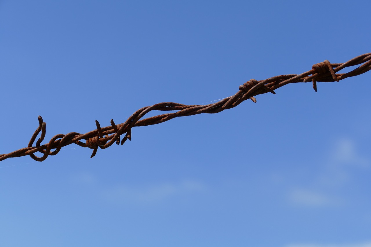 barbed wire rust sharp free photo