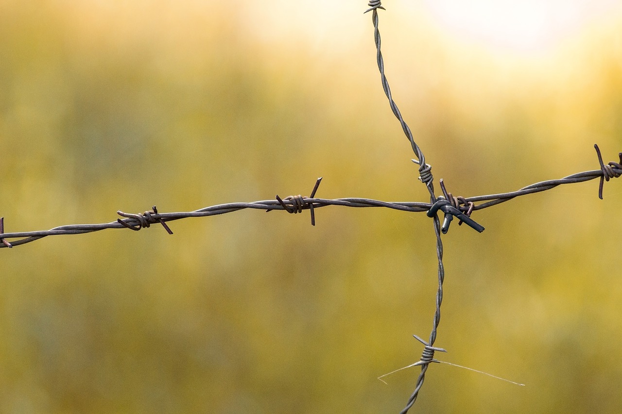 barbed wire demarcation background free photo