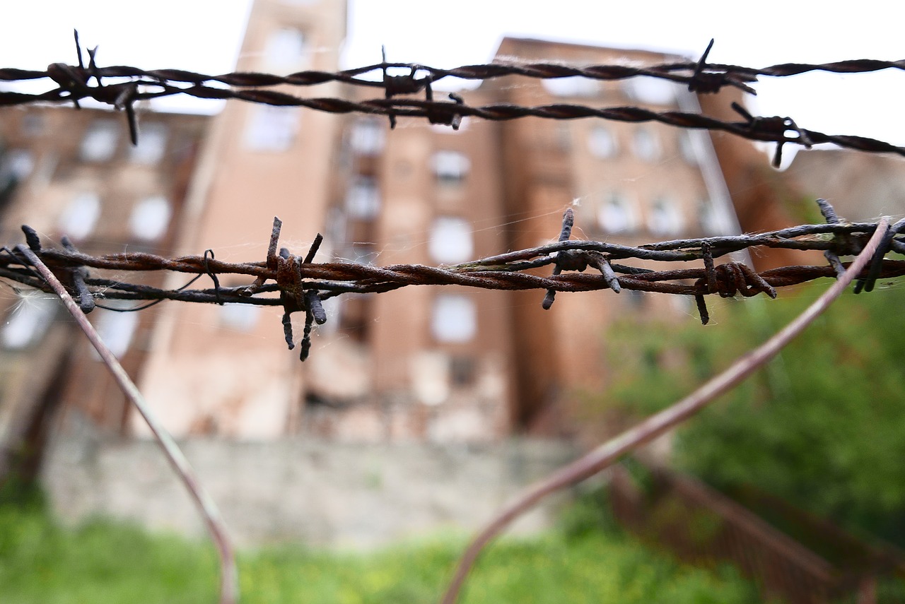 barbed wire bins the fence free photo