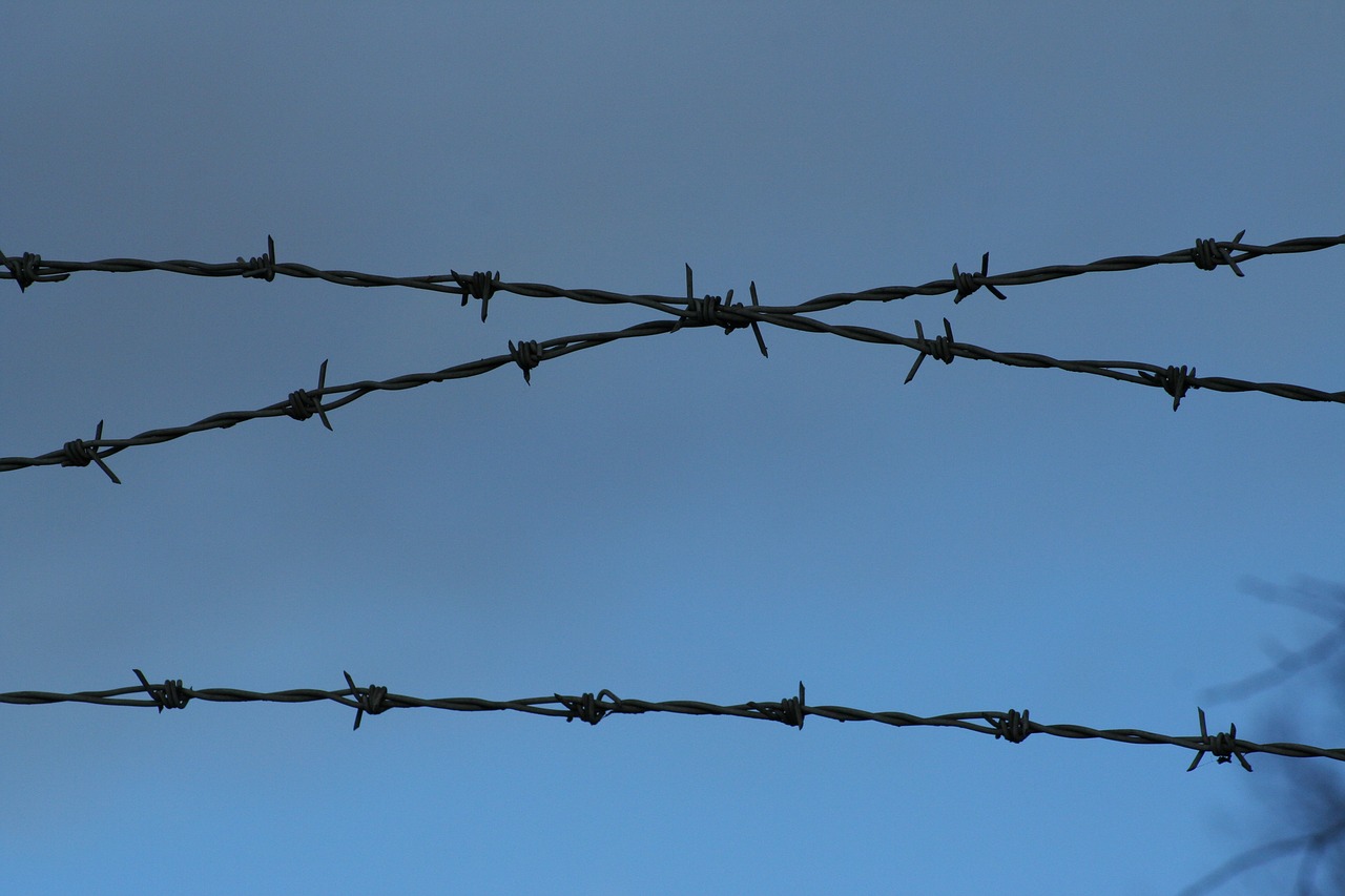 barbed wire metal fence free photo
