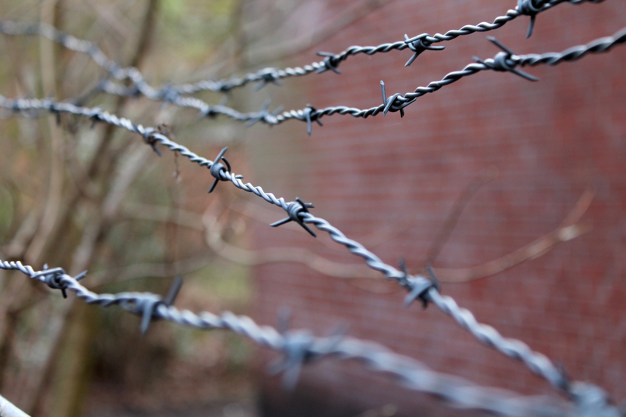 barbed wire security wire free photo