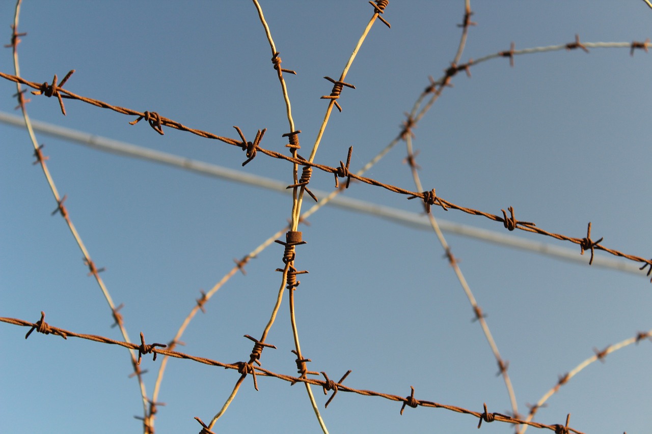 barbed wire wire security free photo