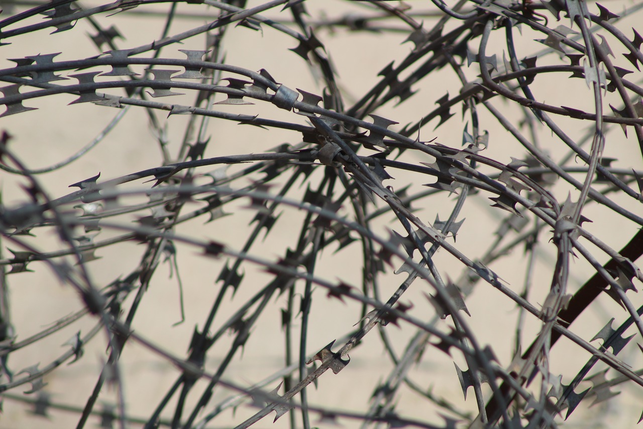 barbed wire fence security free photo